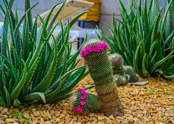 - 3 Bedroom House With Pool بيت للعطل